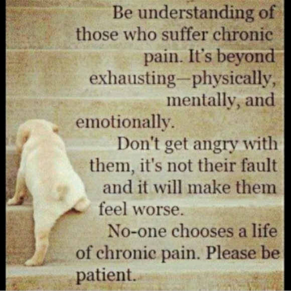 🇩🇪 The Most Beautiful Road Trips in Europe, Picture Book 📚 obviously German - Picture 16 of 16